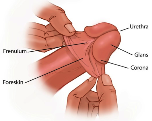 Cosmetic Urology Clinic